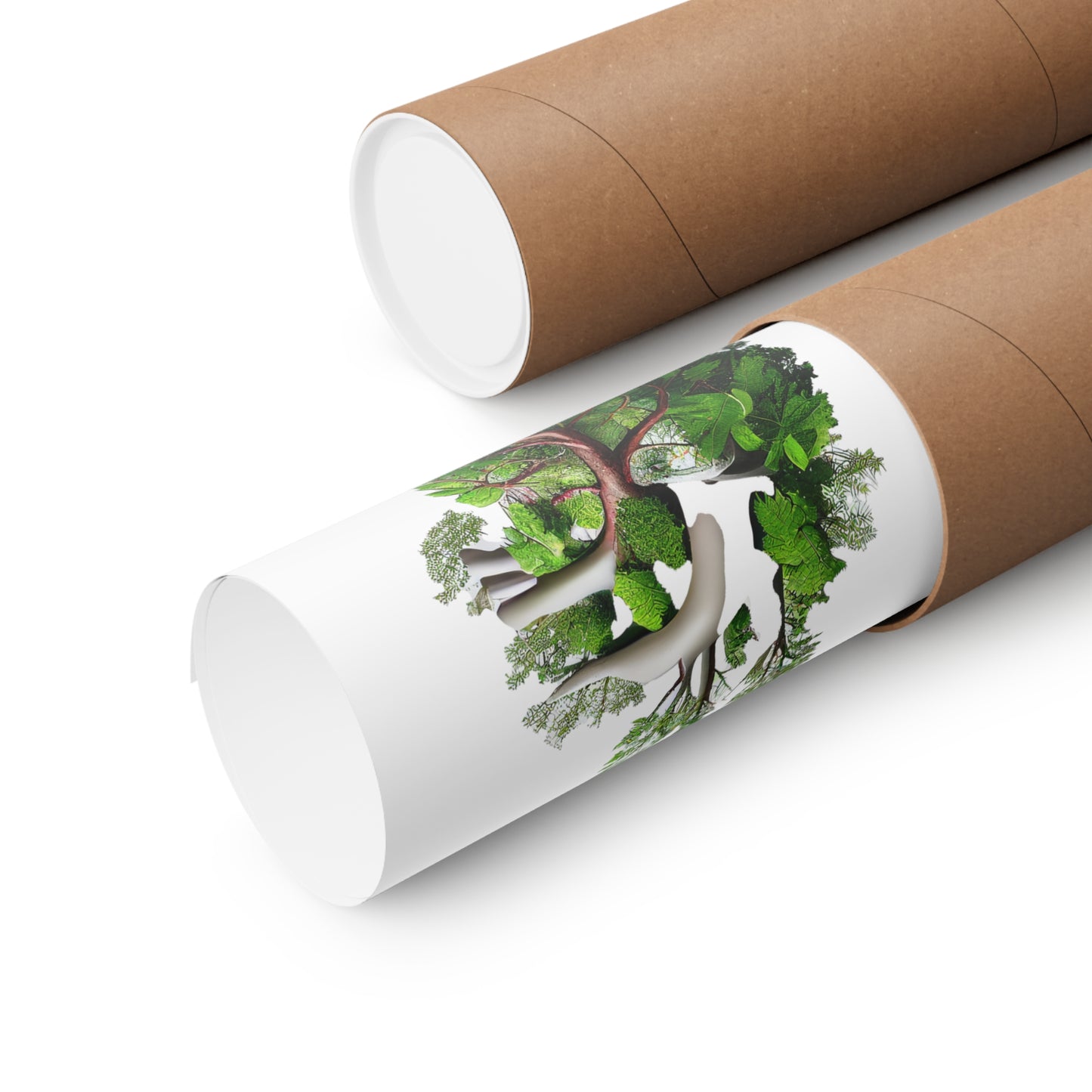 Plant Heart - Premium Matte Print