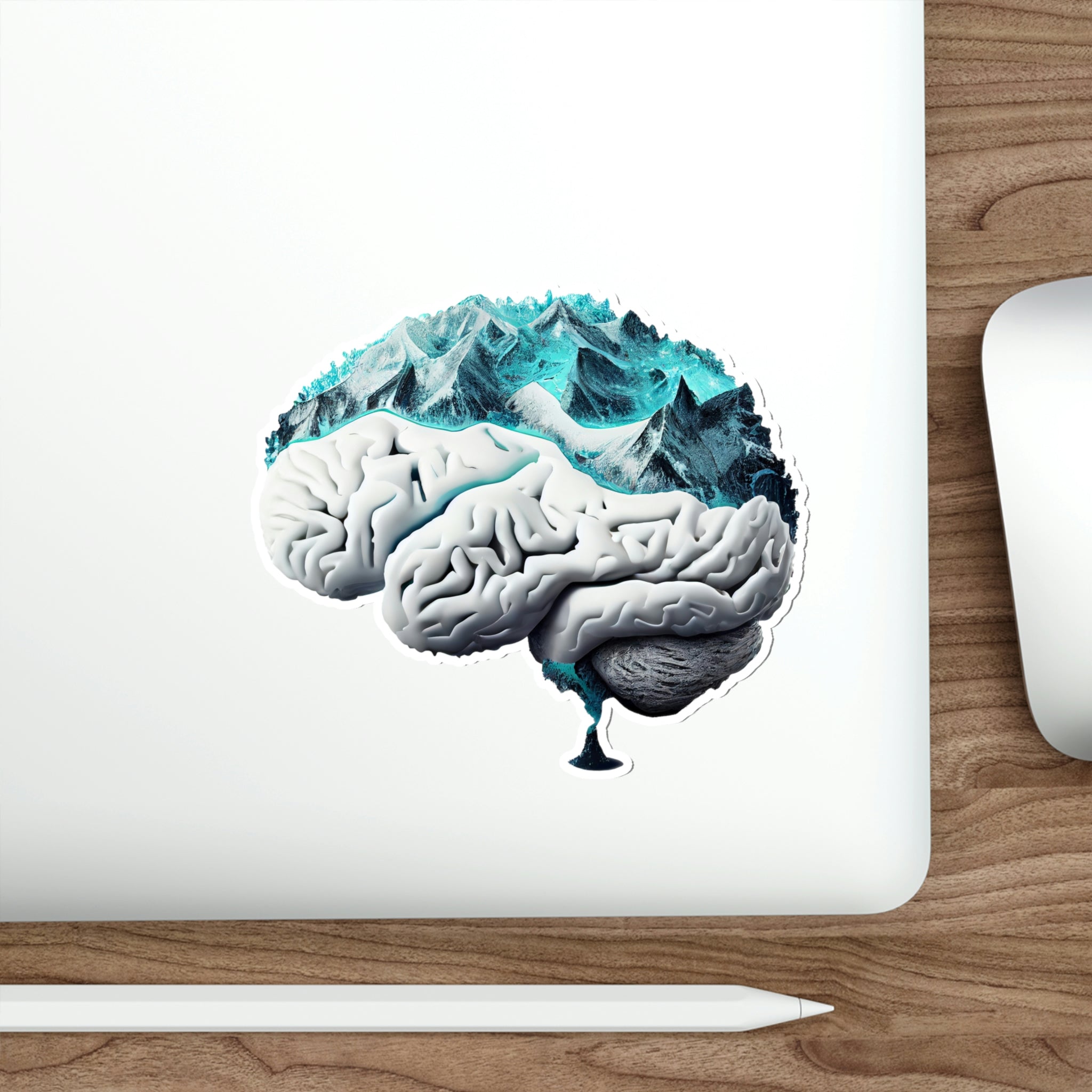 Brains - Stickers – AnatomyAIA