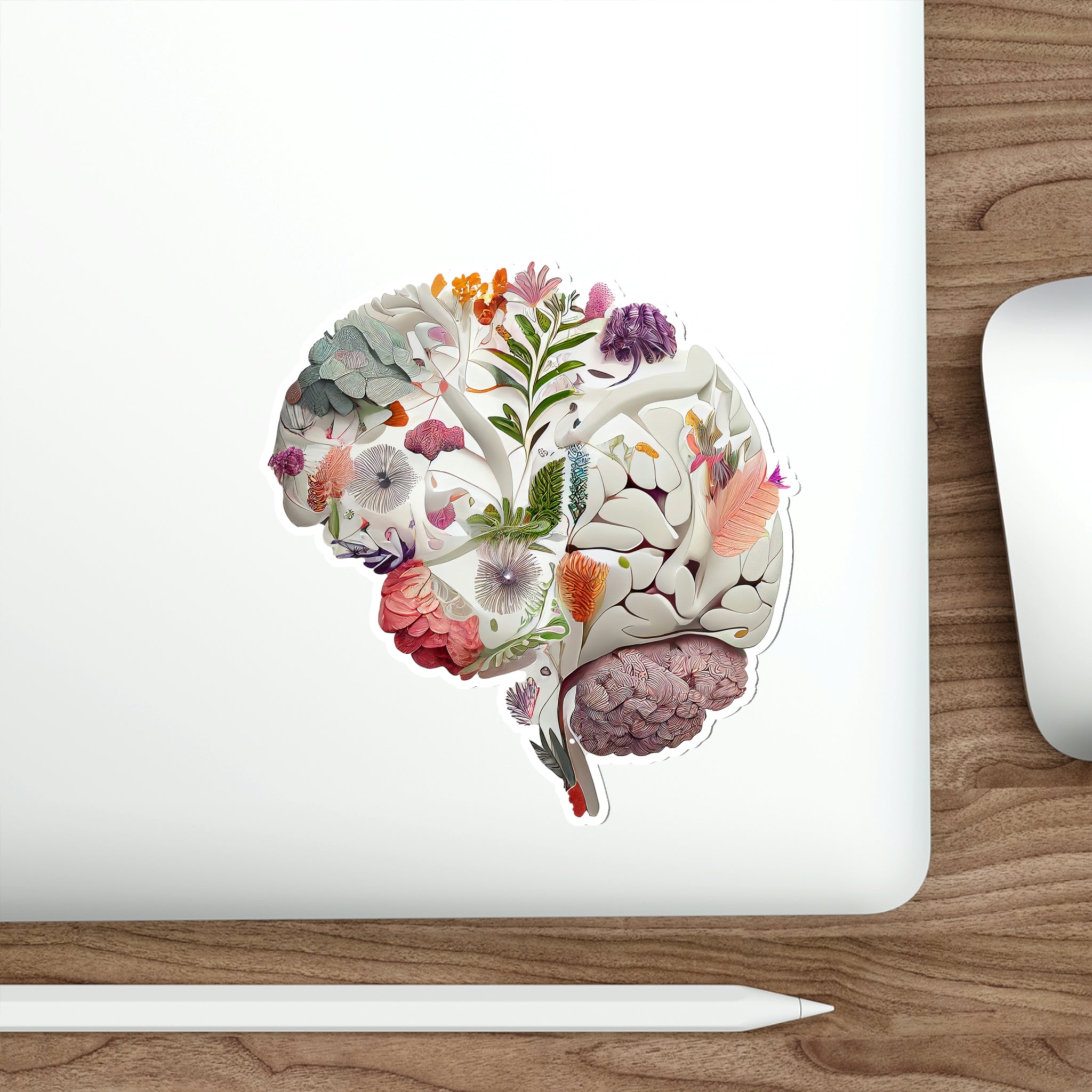 Brain Roots Stickers Brains - Stickers – AnatomyAIA