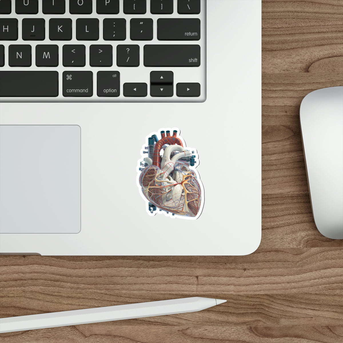 Heart Engineer Sticker Engineering Plans Heart Die-Cut Sticker – AnatomyAIA
